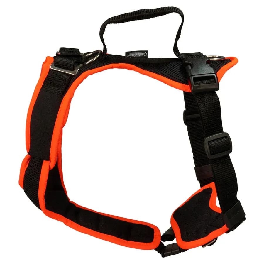 Beat Grossenbacher  Vary Hundegeschirr