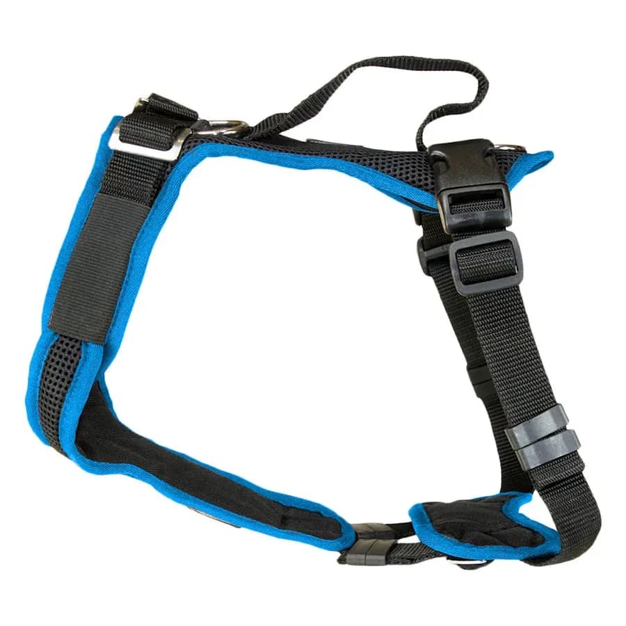 Beat Grossenbacher  Vary Hundegeschirr