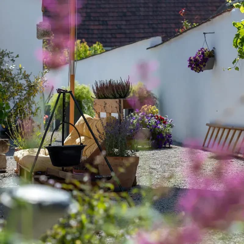 Apartment am Neusiedler See mieten – Entspannung in idyllischer Umgebung