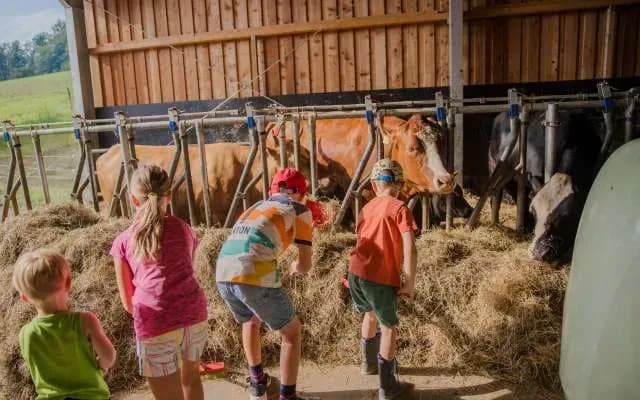Familienhotel mit Bauernhof im Bayerischen Wald buchen