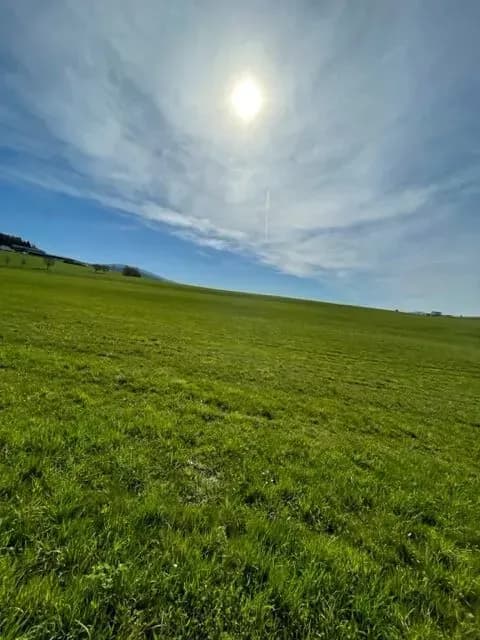 Urlaub im Mühlviertel – Ferienhaus für Naturfreunde