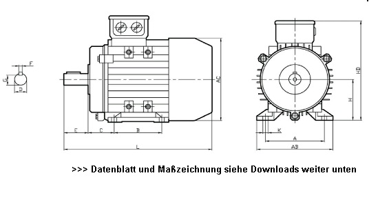Drehstrommotor 4KW 3000Upm