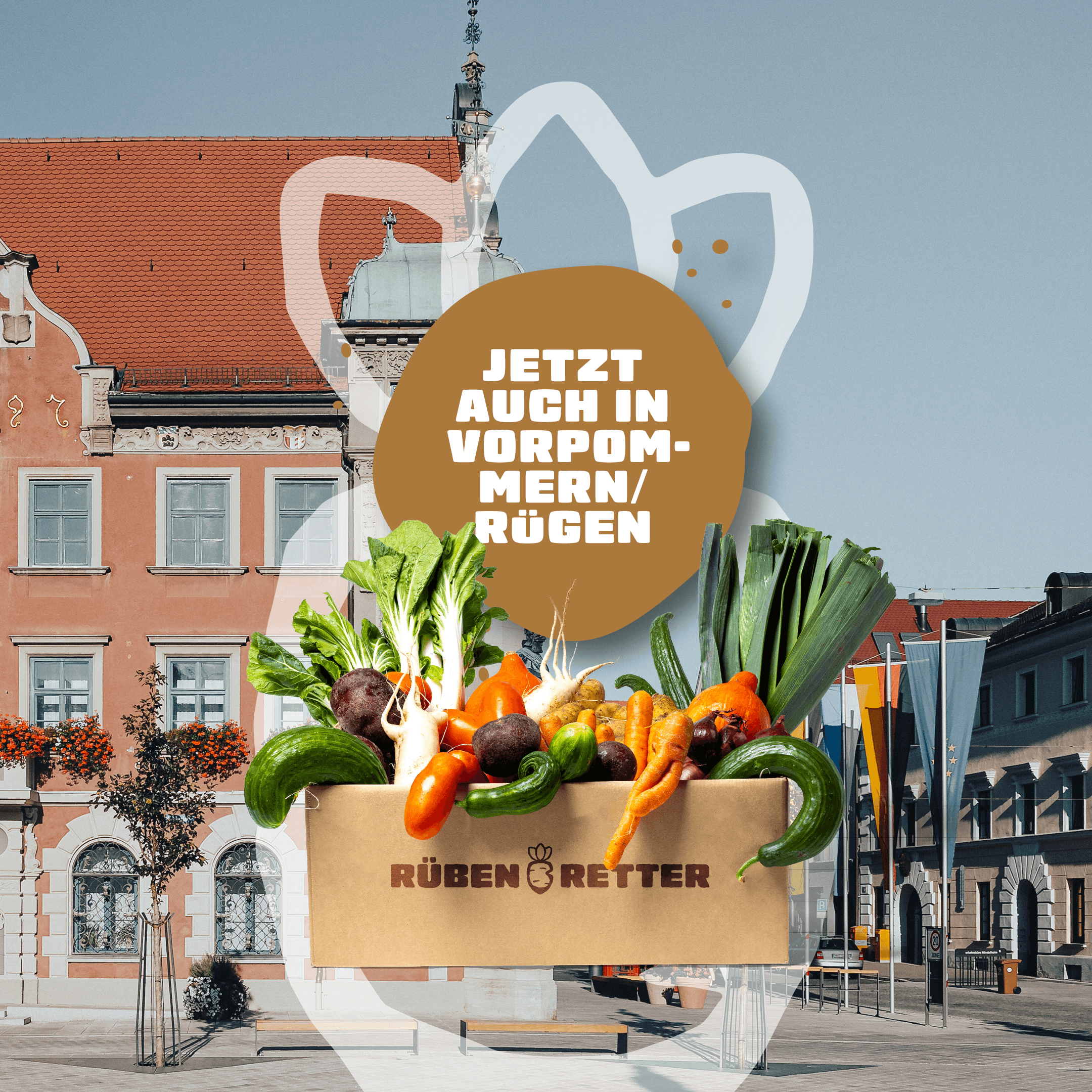 Obst und Gemüse Retterbox Abo kaufen in Vorpommern-Rügen