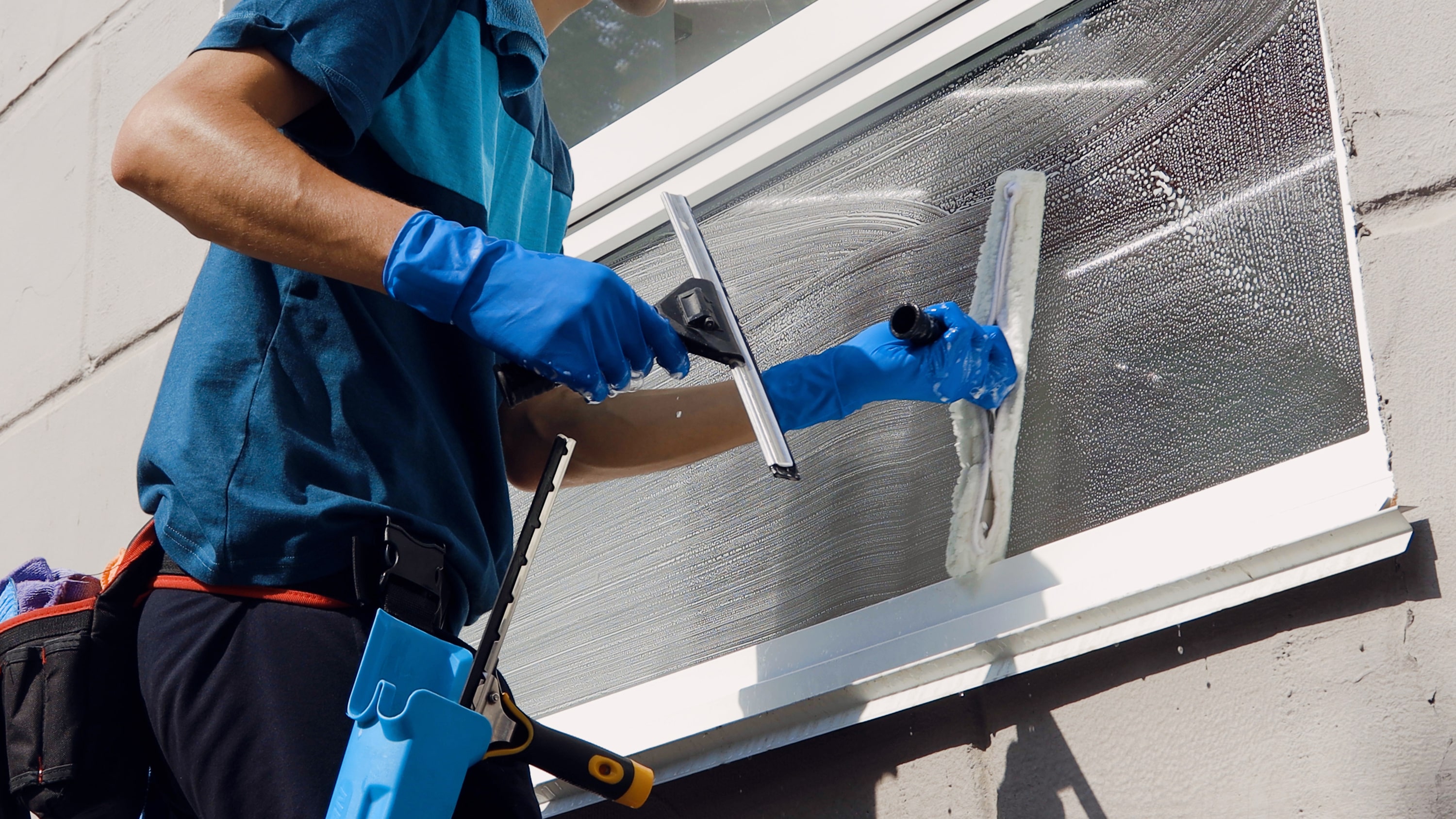 Professionelle Fensterreinigung 