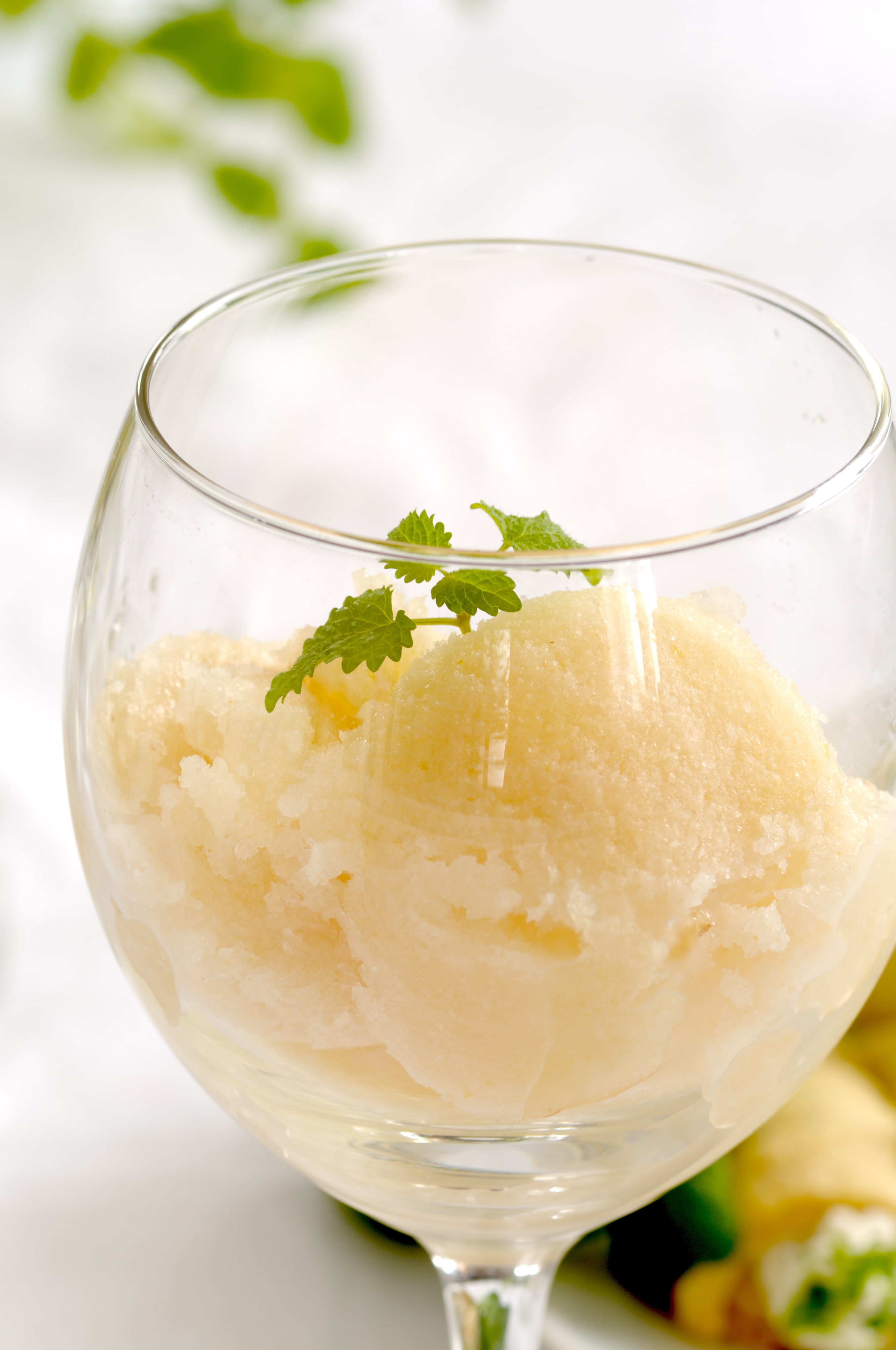 Bauernhofeis - Kriecherlsorbet