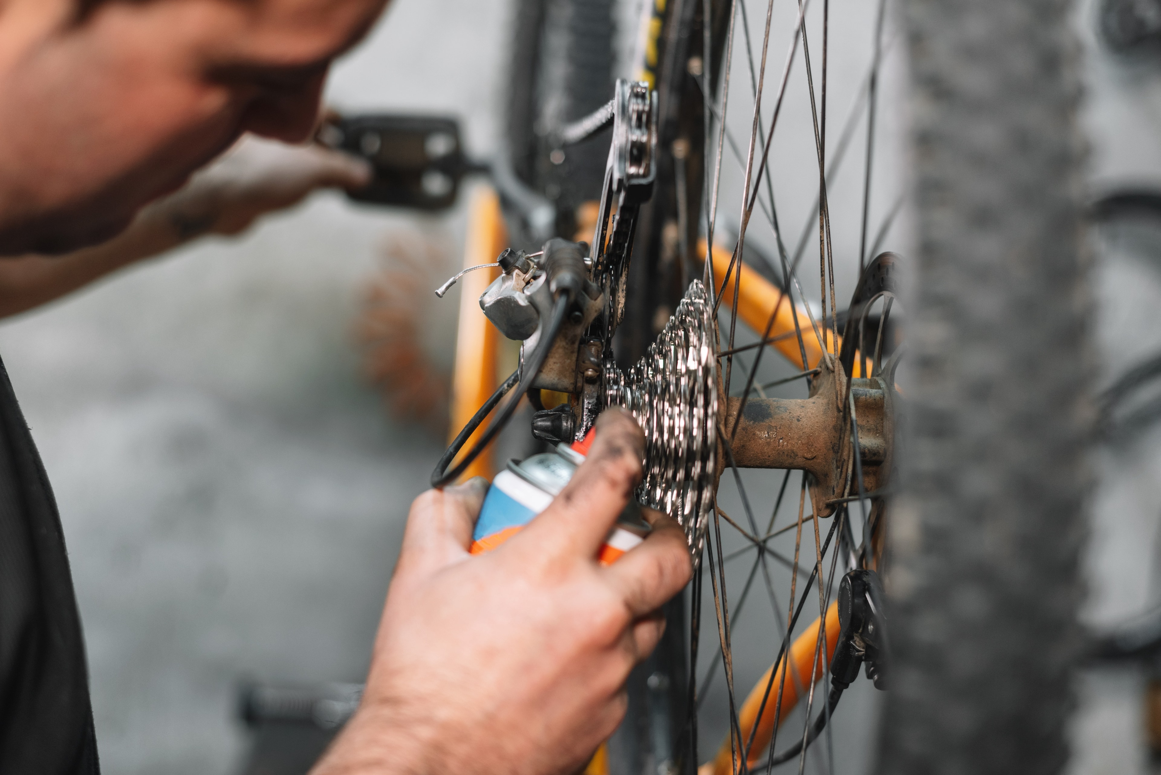 Mountainbike Service beim Profi in Hörsching
