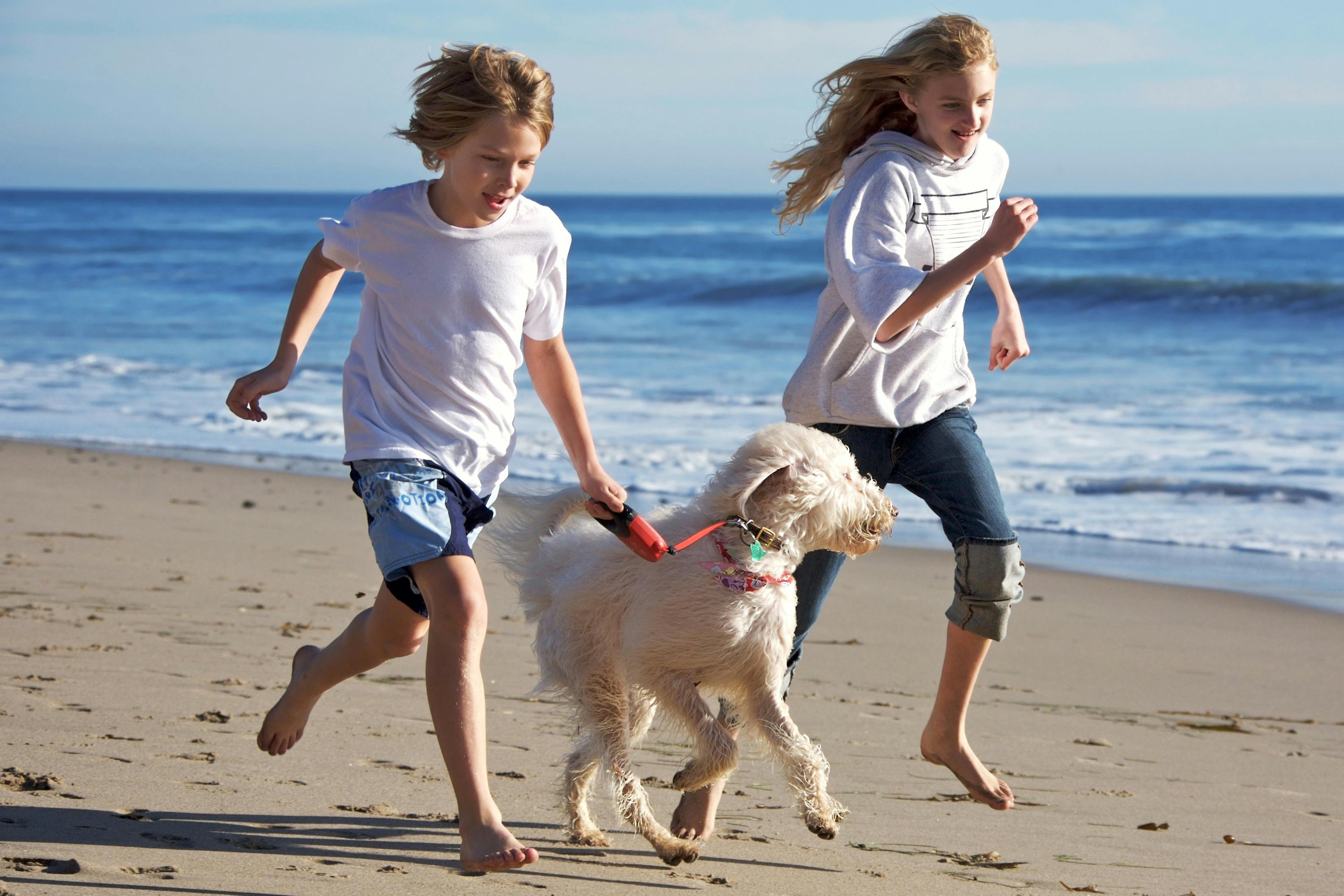 Unterkunft für Urlaub mit Hund an der Ostsee