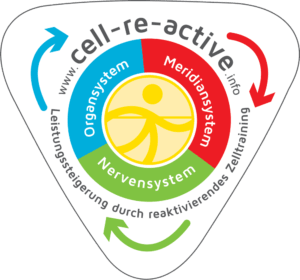 Cell-Re-Active-Training in Oberösterreich