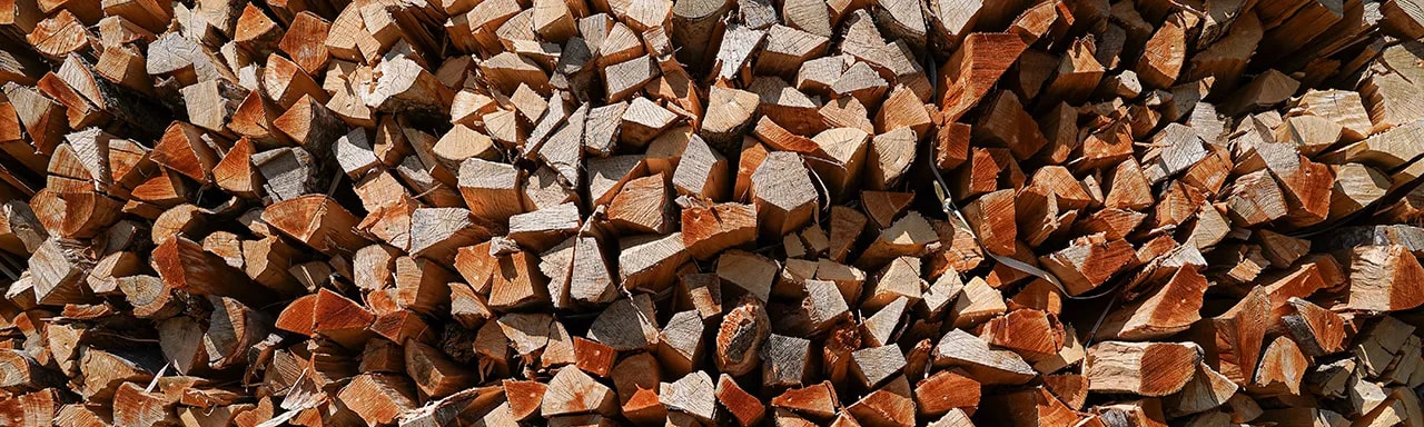Wie trockne ich Brennholz richtig 