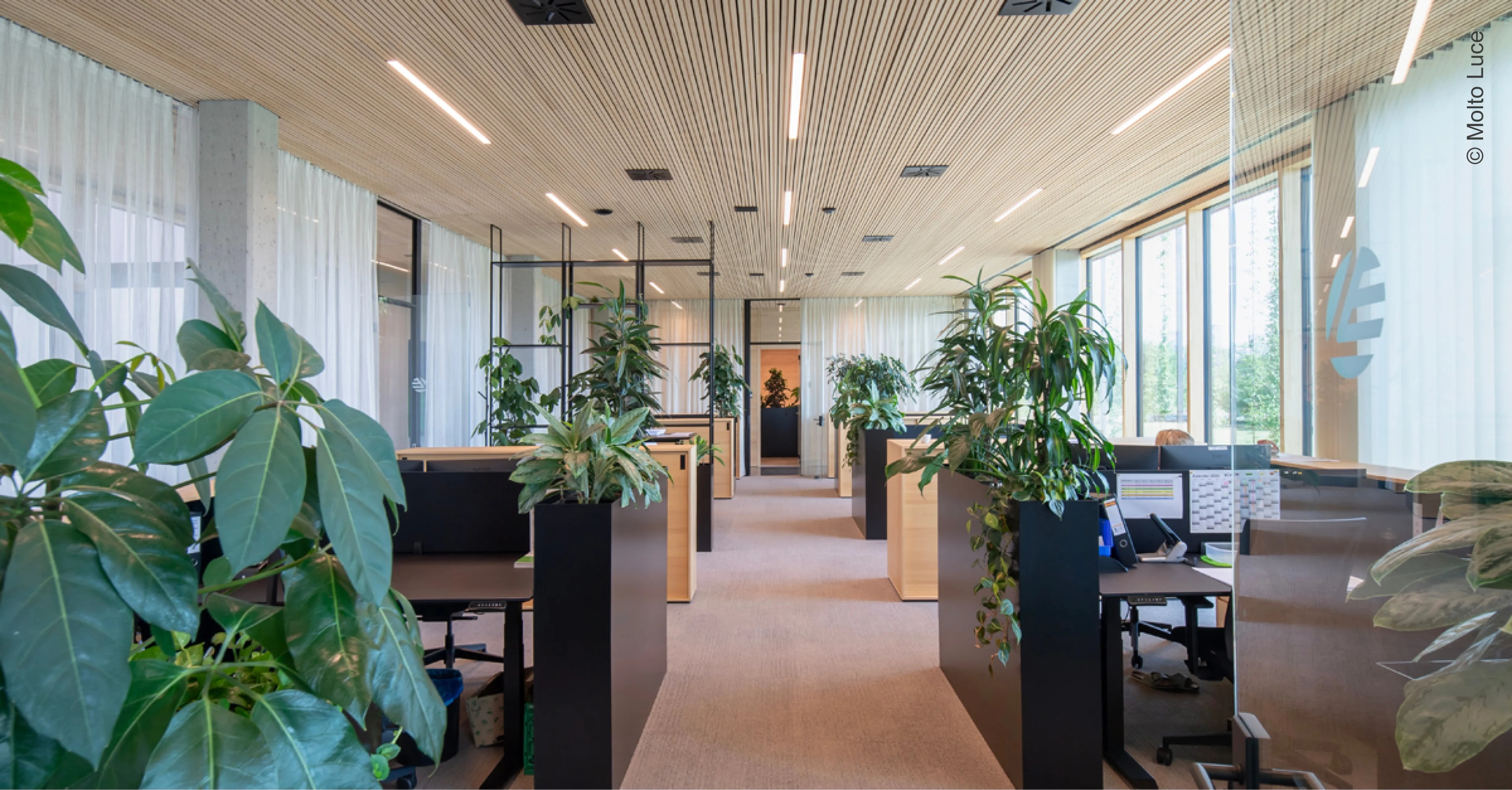 💡 Gute Bürobeleuchtung – mehr als nur Licht!