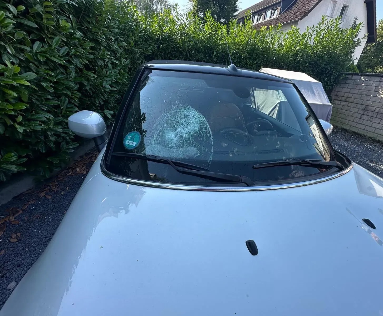 Klare Sicht - Scheibenaustausch in Cochem – Sicher auf der Straße