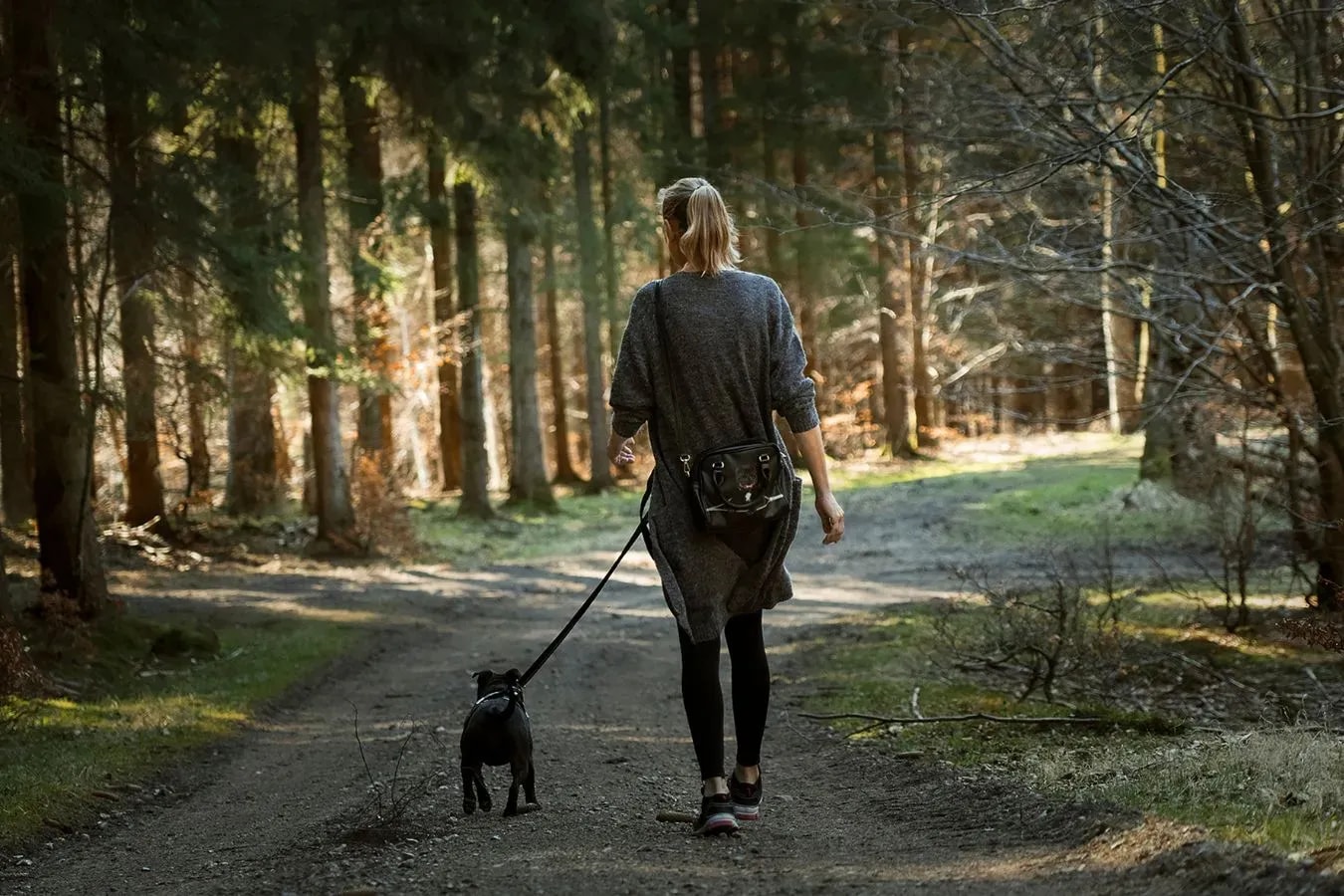 Hundefreundliches Wellness- und Wanderhotel in Oberösterreich