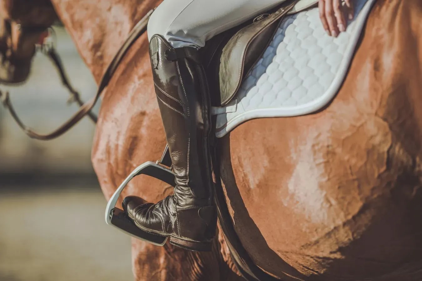 Hotel mit Reittraining in Österreich