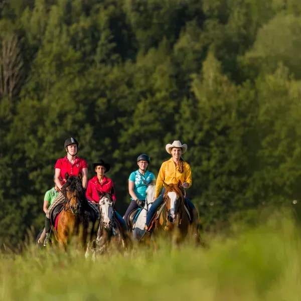 Urlaub mit Pferd buchen in Oberösterreich