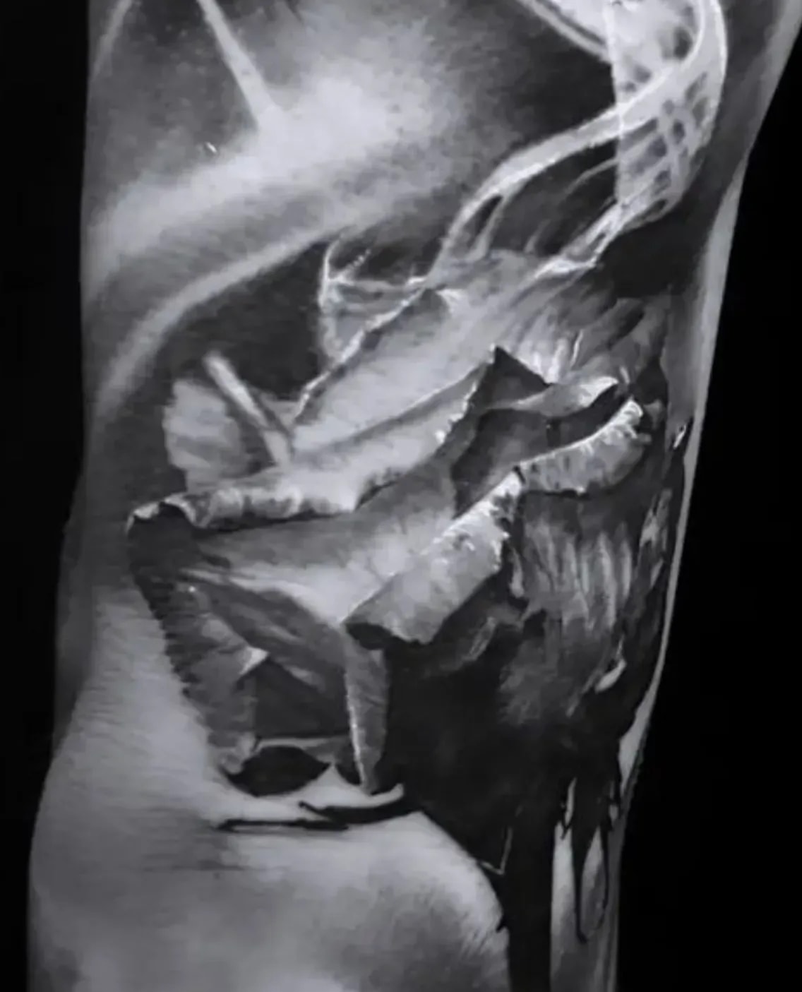 Tattoo Studio in Nürnberg 