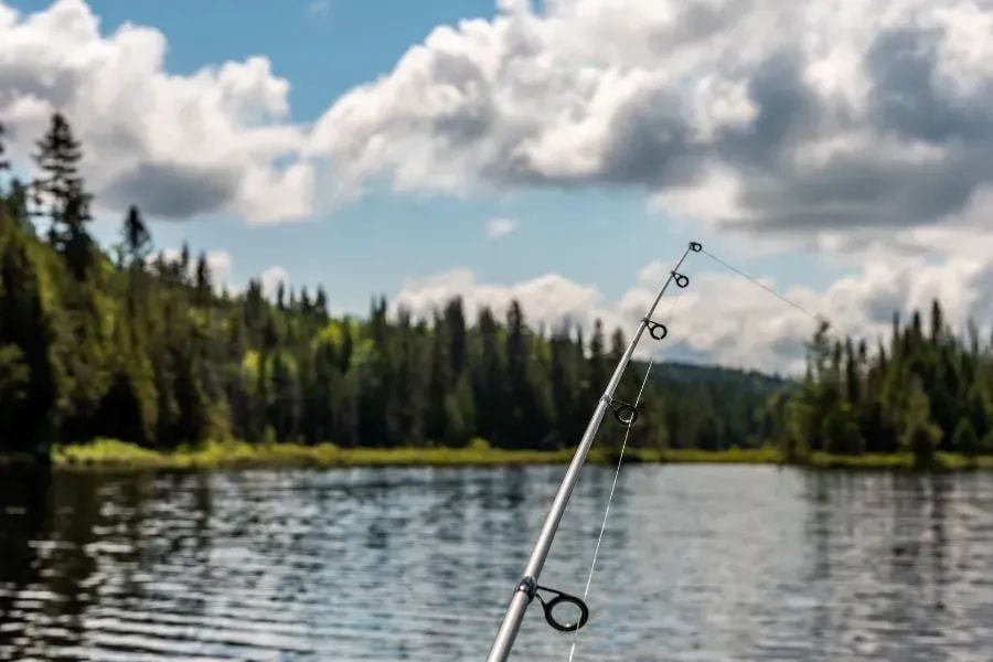 Aqua Borne Angelbedarf in Steyr für moderne und innovative Angler