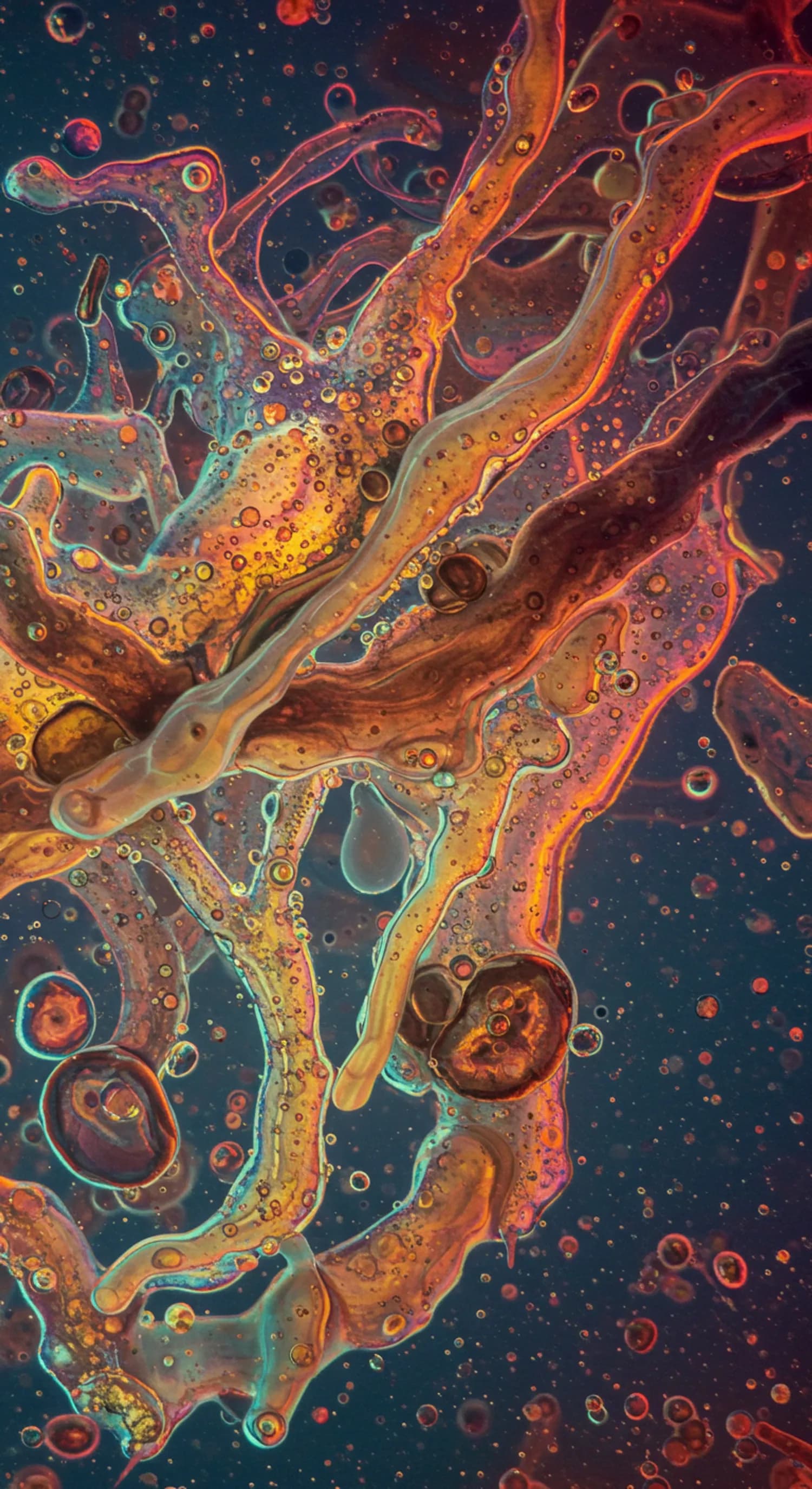 Abwasser-Inhaltsstoffe: Eine überraschende Entdeckungsreise banner