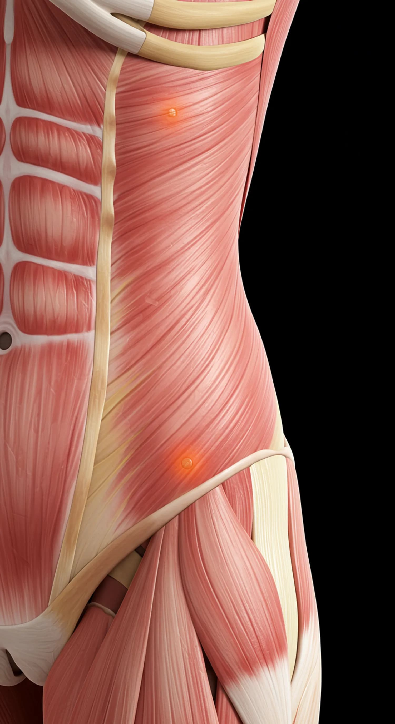 Beckenschmerzen: Die genaue Lokalisation als Schlüssel zur Diagnose banner