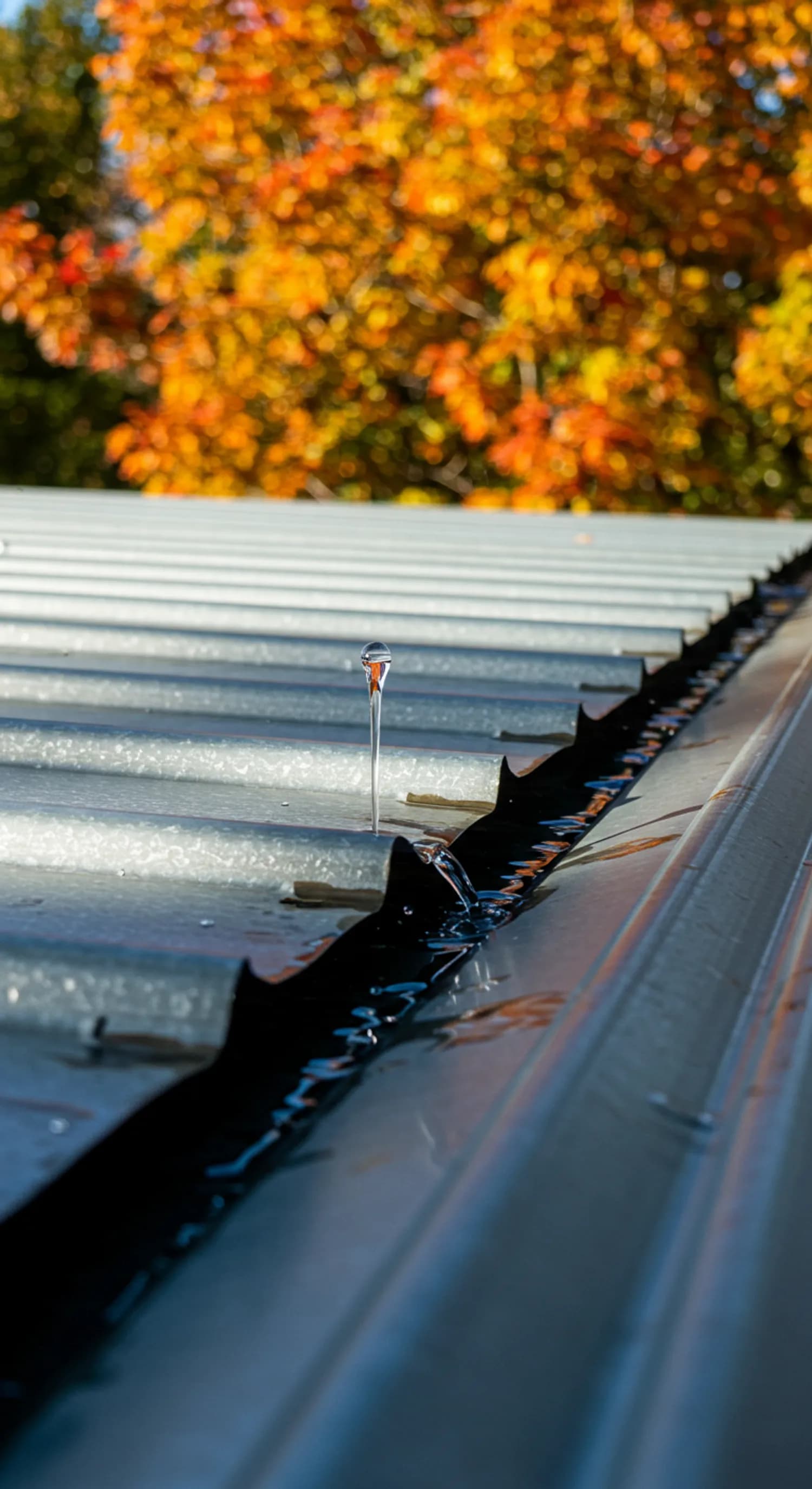 Dachrinnenreinigung: Was steht im Mietvertrag? Kosten richtig zuordnen banner