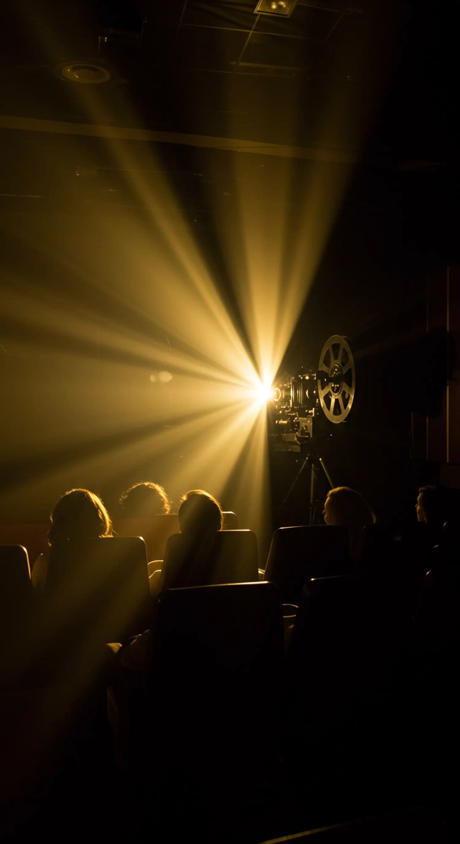 Filmverleih: So kommt der Film ins Kino - Ein Insider-Blick banner