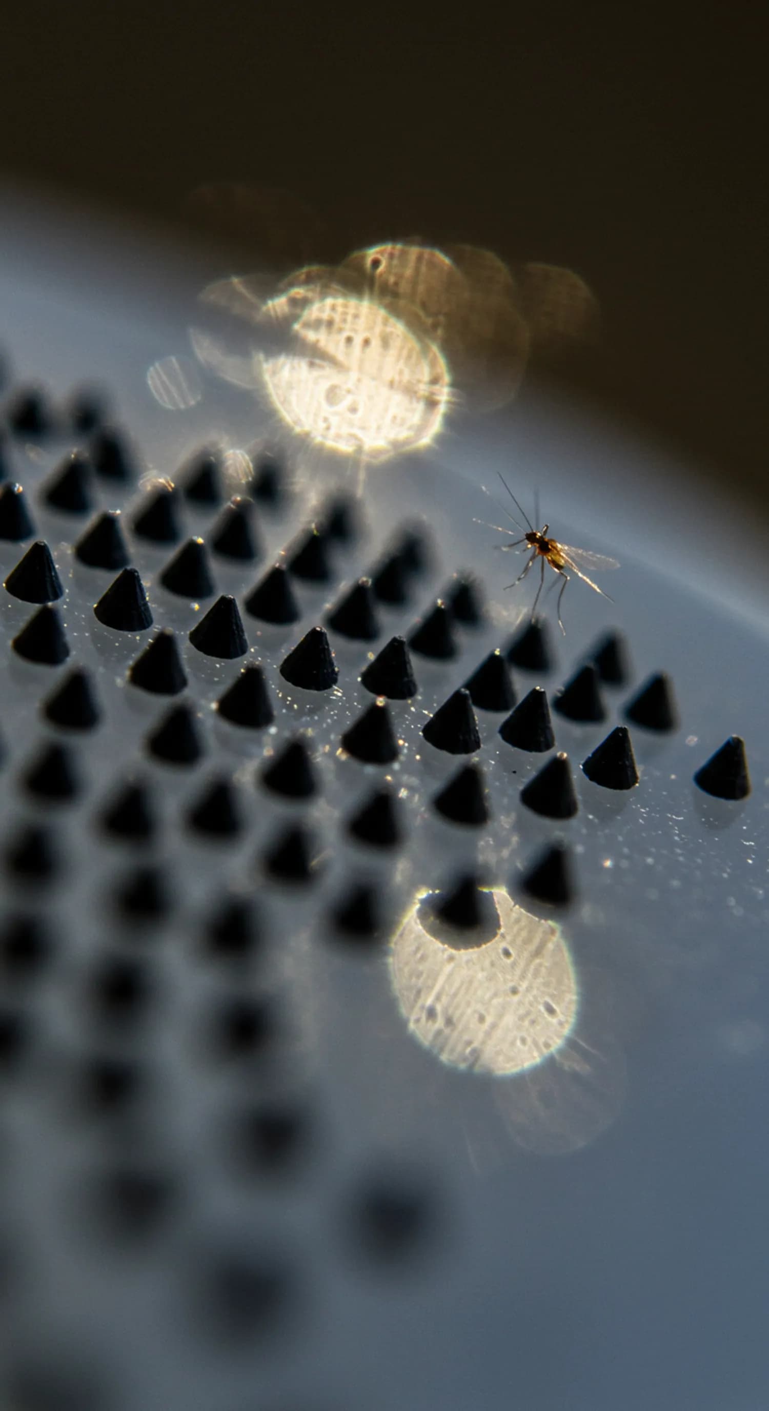 Schwarze Punkte am Fenster? Gefahr erkennen, Lösung finden! banner