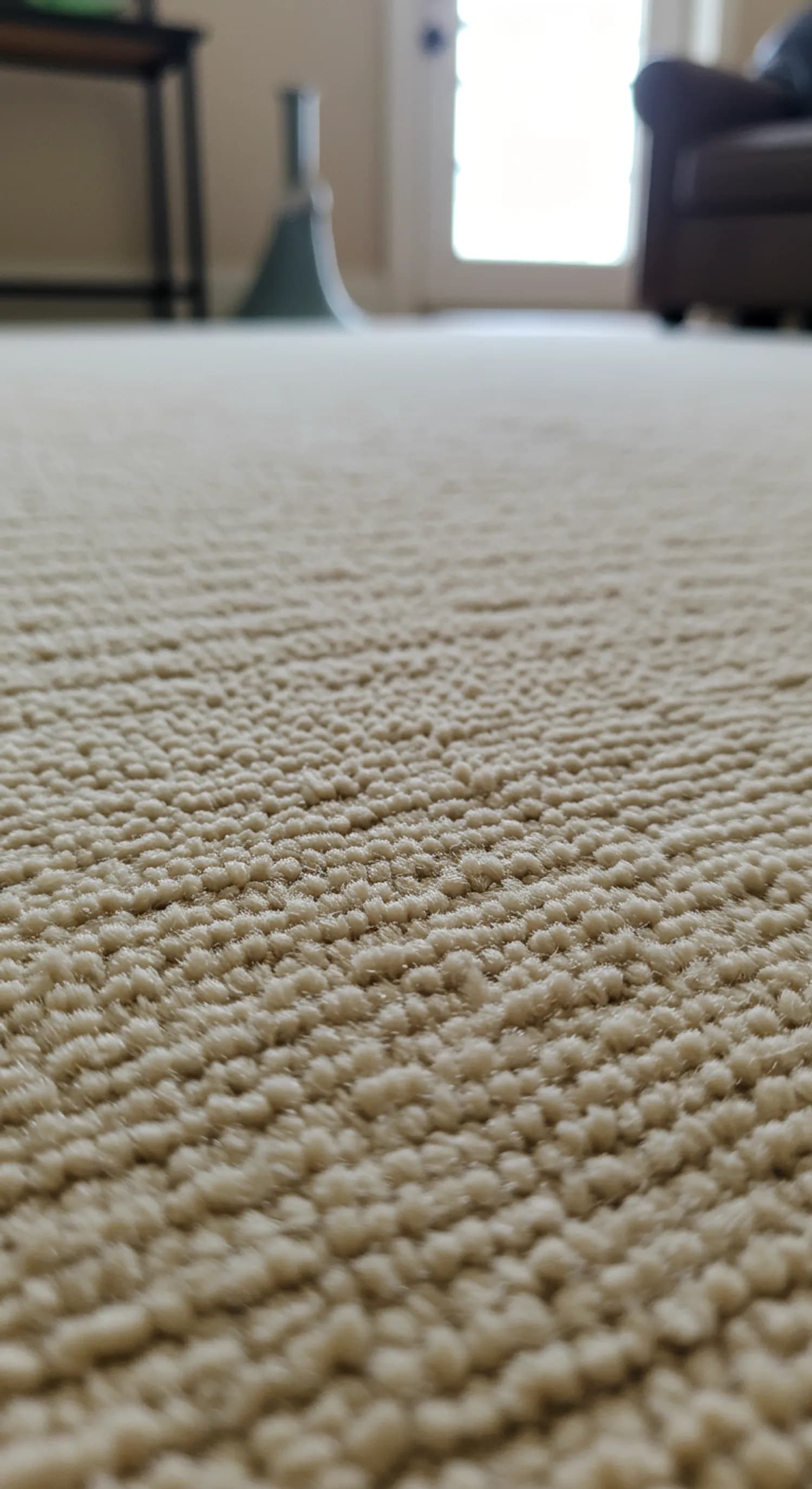 Teppichreinigung: Die optimale Trocknungszeit für langanhaltende Sauberkeit banner